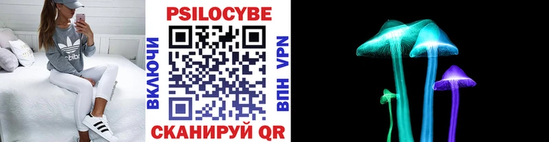 Псилоцибиновые грибы прущие грибы  купить наркоту  Таштагол 